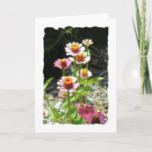 Tarjeta del Día de la Madre para Tía, Flores Color