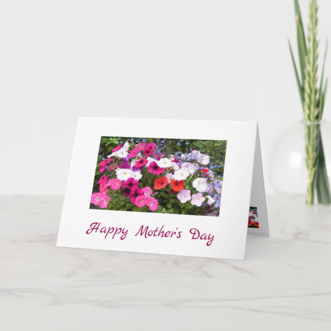 Tarjeta del Día de la Madre Petunias de Flor Blanc (Anverso)