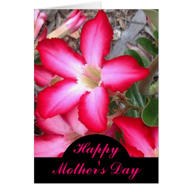 Tarjeta del Día de la Madre Rosa del Desierto (Frente)