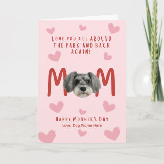 Tarjeta del Día de la Madre schnauzer