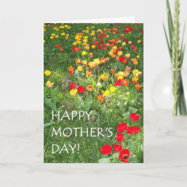 Tarjeta del día de la madre - 'Tulips'