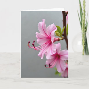 Tarjeta del Día de la Madre Velvet Bloom