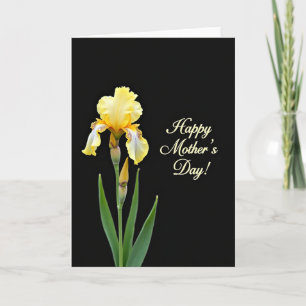 Tarjeta del Día de la Madre Velvet Bloom