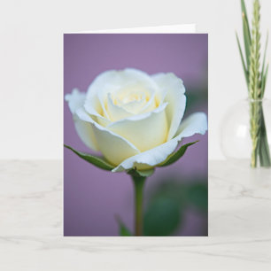 Tarjeta del Día de la Madre Velvet Touch