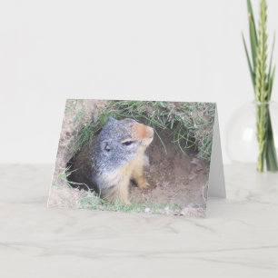 tarjeta del día de la marmota