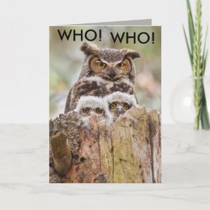 Tarjeta del Día de los Padres de Lechuzas Hoot