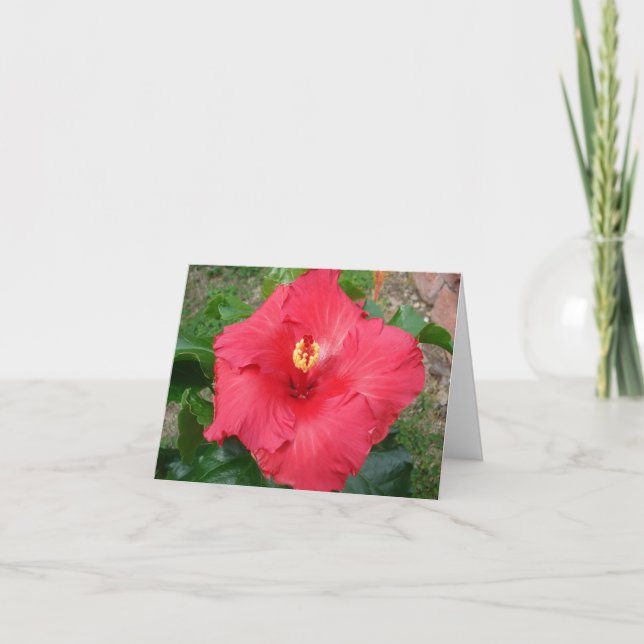 Tarjeta del día de madre (Anverso)