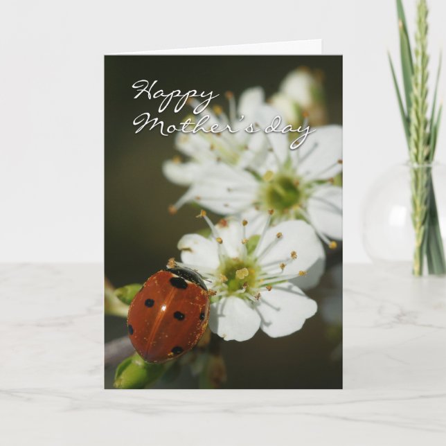 Tarjeta del día de madre con la mariquita en el (Anverso)