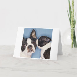 Tarjeta del día de madre de Boston Terrier