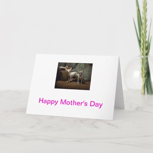 Tarjeta del día de madre de la chihuahua (Anverso)