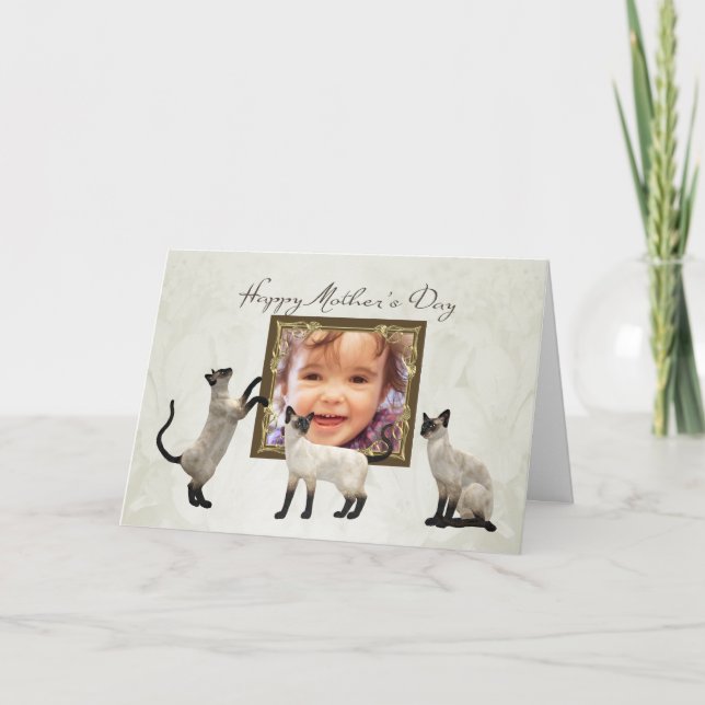 Tarjeta del día de madre de la foto con los gatos (Anverso)