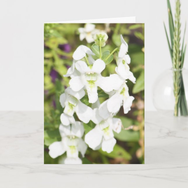 Tarjeta del día de madre del marido (Anverso)