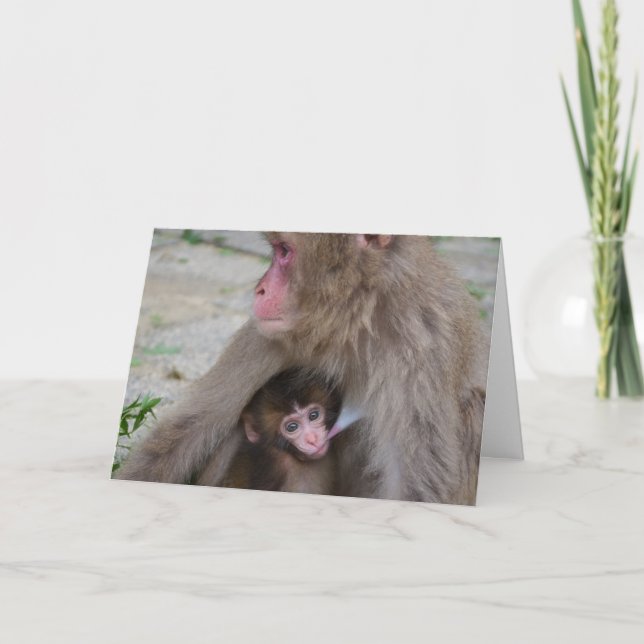 Tarjeta del día de madre del mono de la madre y (Anverso)