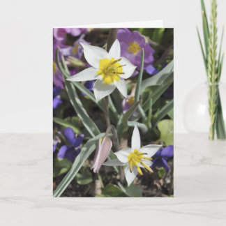 Tarjeta del día de madre del tulipán de la especie