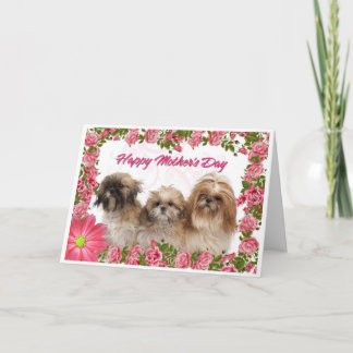 Tarjeta del día de madre - perros de Shih Tzu -