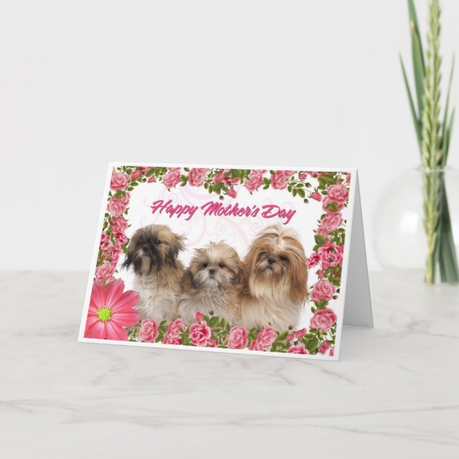 Tarjeta del día de madre - perros de Shih Tzu - (Anverso)