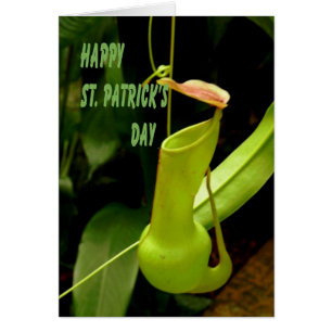 Tarjeta del Día de San Patricio con planta de pipa