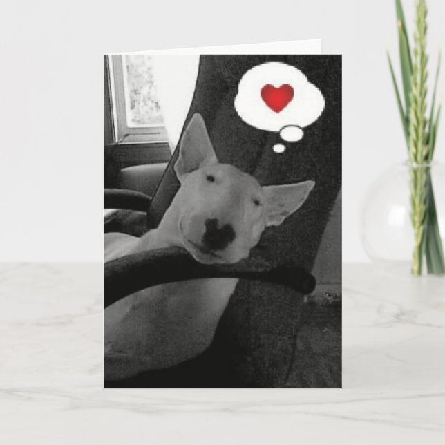 tarjeta del día de San Valentín de bull terrier (Anverso)