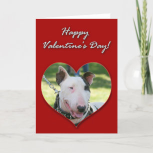 Tarjeta del día de San Valentín de bull terrier