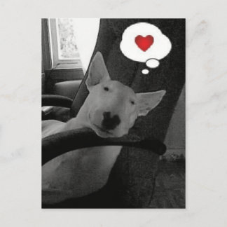 tarjeta del día de San Valentín de bull terrier