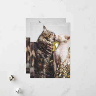 Tarjeta del Día de San Valentín de "Dos Gatos"