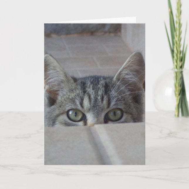Tarjeta del día de San Valentín de gatito Peek-a-b (Anverso)