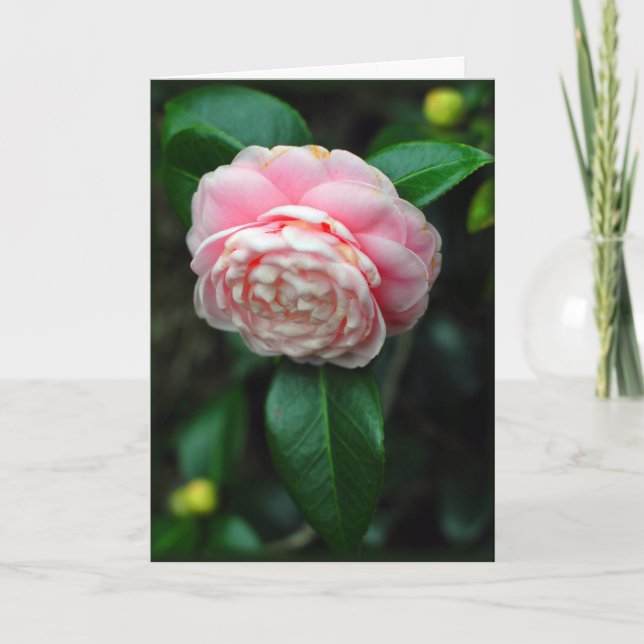 Tarjeta del día de San Valentín de la camelia (Anverso)