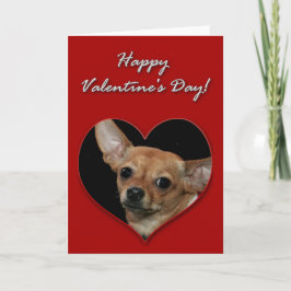 Tarjeta del día de San Valentín de la chihuahua