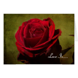 Tarjeta del Día de San Valentín de Rosa Roja Textu