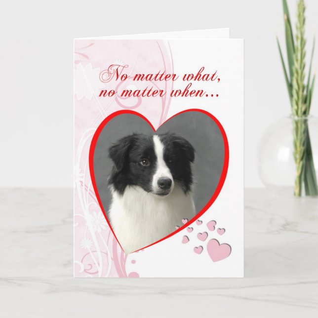 Tarjeta del día de San Valentín del border collie (Anverso)