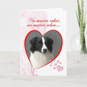Tarjeta del día de San Valentín del border collie