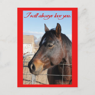Tarjeta del día de San Valentín del caballo V