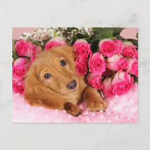 Tarjeta del día de San Valentín del Dachshund