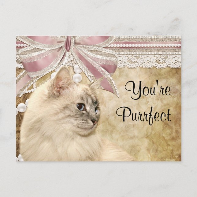Tarjeta del día de San Valentín del gatito de (Anverso)