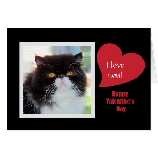 Tarjeta del día de San Valentín del gato persa te