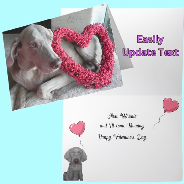 Tarjeta del Día de San Valentín del perro weimaran (Subido por el creador)