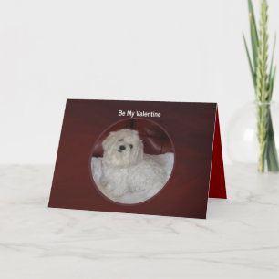 Tarjeta del día de San Valentín maltesa - usted