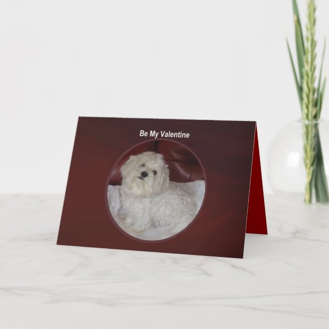 Tarjeta del día de San Valentín maltesa - usted (Anverso)