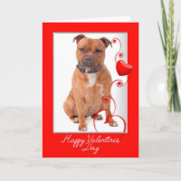 Tarjeta del Día de San Valentín para Staffie