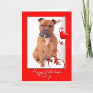 Tarjeta del Día de San Valentín para Staffie