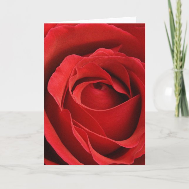 Tarjeta del día de San Valentín romántica color de (Anverso)