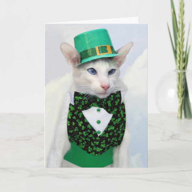 Tarjeta del día de Skeezix McCat St Patrick (Anverso)