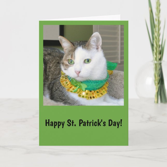 Tarjeta del día de St Patrick del gato (Anverso)