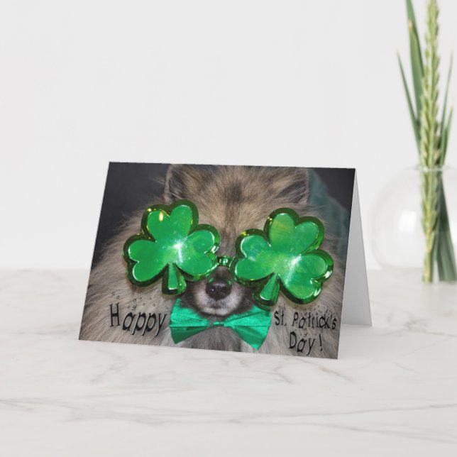 Tarjeta del día de St Patrick del Keeshond (Anverso)