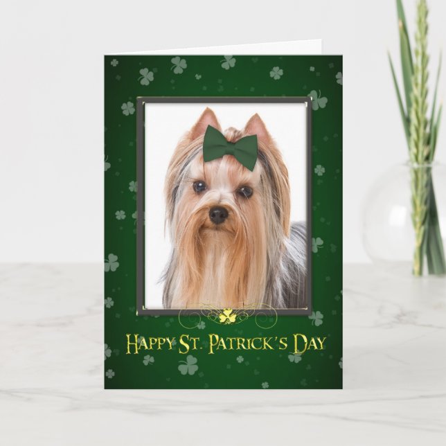 Tarjeta del día de Yorkie St Patrick (Anverso)