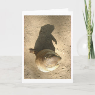 Tarjeta del día del cerdo de tierra