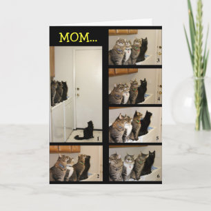 Tarjeta del día del gato contra la mosca