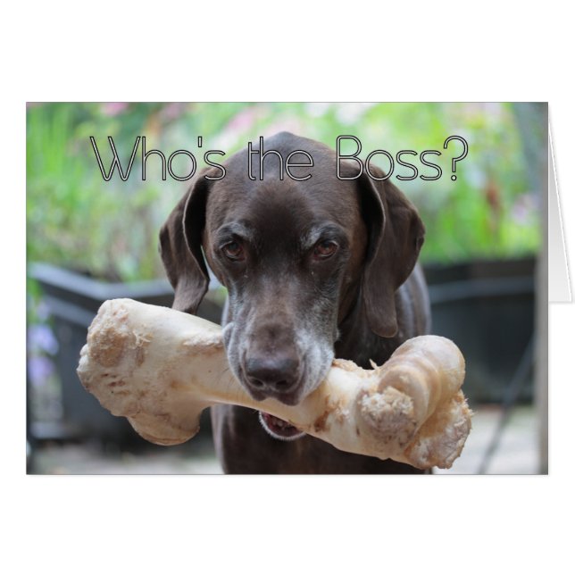 Tarjeta del día del jefe (Anverso (Horizontal))