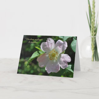 Tarjeta del día del nombre en checo