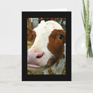 Tarjeta del día del padre de Guay con vaca
